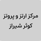 Untitled (13)-images-3